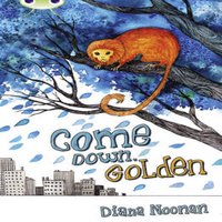Diana Noonan Bug Club Independent Fiction Year 3 Brown A Come Down, Golden