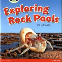 Jill McDougall Bug Club Guided Non Fiction Year 1 Green C Exploring Rock Pools