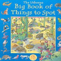 Anna Milbourne Big Book of Things to Spot Paperback