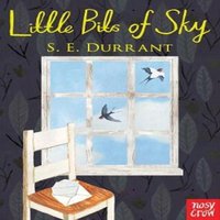 S. E. Durrant Little Bits of Sky Paperback Book
