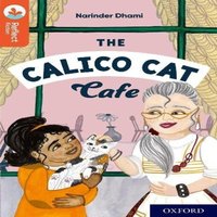 Narinder Dhami Oxford Reading Tree TreeTops Reflect: Oxford Reading Level 13: The