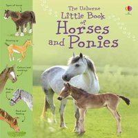 Sarah Khan Little Book of Horses & Ponies Hardback