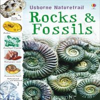 Struan Reid Rocks & Fossils Paperback Book
