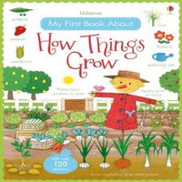 Felicity Brooks My First Book About How Things Grow Paperback