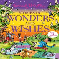 Enid Blyton Stories of Wonders & Wishes Paperback Book