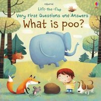 Katie Daynes Very First Questions & Answers What is poo? Board book Book