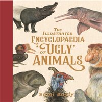 Sami Bayly Illustrated Encyclopaedia of 'Ugly' Animals Hardback Book