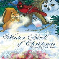 Beth Roose Winter Birds Of Christmas Hardback Book