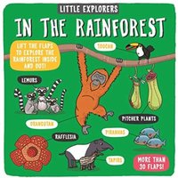 Dynamo Ltd. Little Explorers: In the Rainforest Board book Book