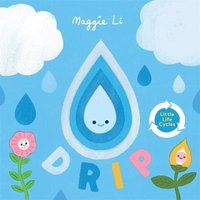 Maggie Li Little Life Cycles: Drip Board book Book
