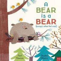 Karl Newson A Bear is a Bear Paperback Book