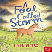 Helen Peters A Foal Called Storm Paperback Book