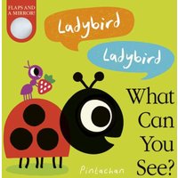 Amelia Hepworth Ladybird Ladybird What Can You See? Board book Book