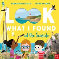 Moira Butterfield National Trust: Look What I Found at the Seaside Paperback Book