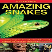 Barbara Taylor Exploring Nature: Amazing Snakes Hardback Book