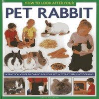 David Alderton How to Look After Your Pet Rabbit Hardback Book