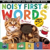 Libby Walden Noisy First Words Board book Book