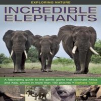 Barbara Taylor Exploring Nature: Incredible Elephants Hardback Book