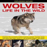 Dr Jen Green Exploring Nature: Wolves - Life in the Wild Hardback Book