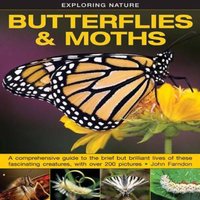 Farndon John Exploring Nature: Butterflies & Moths Hardback Book