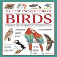 Bugler Matt My First Encylopedia of Birds (giant Size) Paperback Book