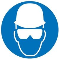 Accuform LSGM2222 ISO Safety Label: (Wear Head and Eye Protection) 2003/2011
