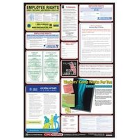 Accuform PPG300FL 40"" x 27"" OSHA Safety Poster: Combo State, Federal & OSHA Labor Law Poster English Florida