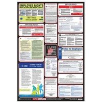 Accuform PPG300RI 40"" x 27"" OSHA Safety Poster: Combo State, Federal & OSHA Labor Law Poster Rhode Island