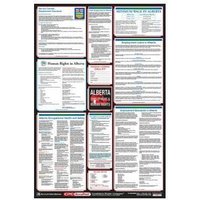 Accuform PPG313MB 40"" x 27"" Poster: Canadian Employment and Labour Standards English