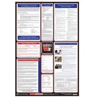 Accuform PPG313QC 40"" x 27"" Poster: Canadian Employment and Labour Standards English Quebec