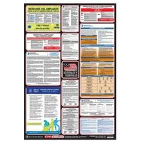 Accuform PPG400PA 40"" x 27"" Poster: Combo State, Federal and OSHA Labor Law (Spanish) Pennsylvania