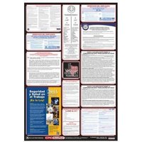 Accuform PPG400PR 40"" x 27"" Poster: Combo State, Federal and OSHA Labor Law (Spanish) Spanish Puerto Rico