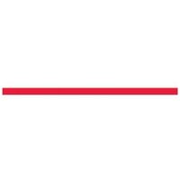 Accuform PTP202RD 2"" x 48"" Tough-Mark Heavy-Duty Floor Marking Strip Red