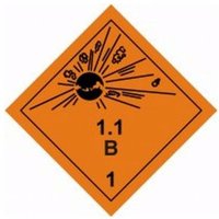 Accuform TCL162PS2 100mm x 100mm (4"" x 4"") TDG Label - Class 1