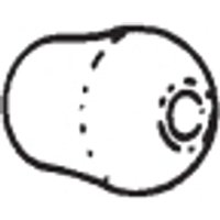 “Adsoft Plus Pair of Eartips“