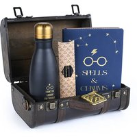 Harry Potter (Trouble Finds Me) Premium Gift Set