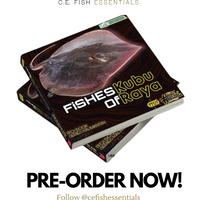 Fishes of Kubu Raya - Chapter 1 (Book) - PRE-ORDER