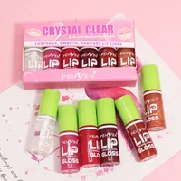 6pcs Set MINI Clear and Tinted Lip Glosses