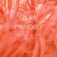 Flora of the Orinoco by Ivan Mikolji (Book)
