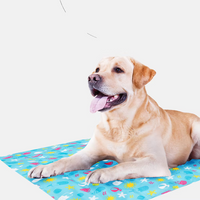 Pet Cooling Mat 70cmx110cm
