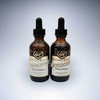 Candida Protocol 60ml liquid with proprietary blend– BARLOWHERBALS™