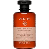 Apivita Champu Caspa Seca 250ml