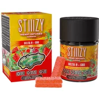 Watermelon Wave STIIIZY Delta 9 + CBD Gummies 225mg