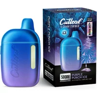 Purple Punch Ice Cutleaf Live Rosin Disposable Vape 5G