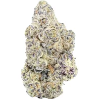 Jet Fuel URB Fly High Frequent Flyer Flower 3.5g
