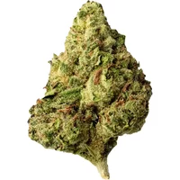 Sky Force URB Fly High Premium Economy Frequent Flyer Flower 3.5g