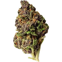 Tropical Cherry URB Fly High Premium Economy Frequent Flyer Flower 3.5g
