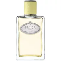 Les Infusion de Gingembre 100 ml