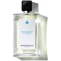 Sous Un Mimosa De Provence