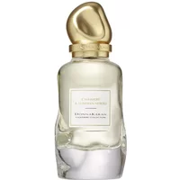 CASHMERE & ROSE ABSOLU